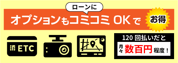 オプションもコミコミOK